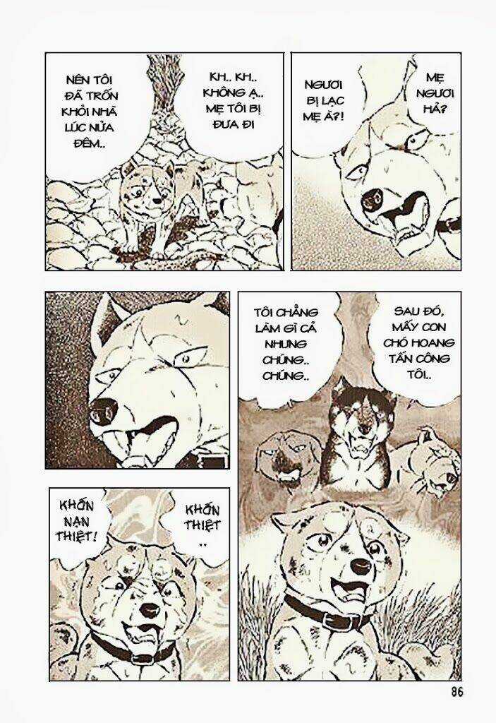 Ginga Densetsu Riki - Chapter 3 - Trang 14