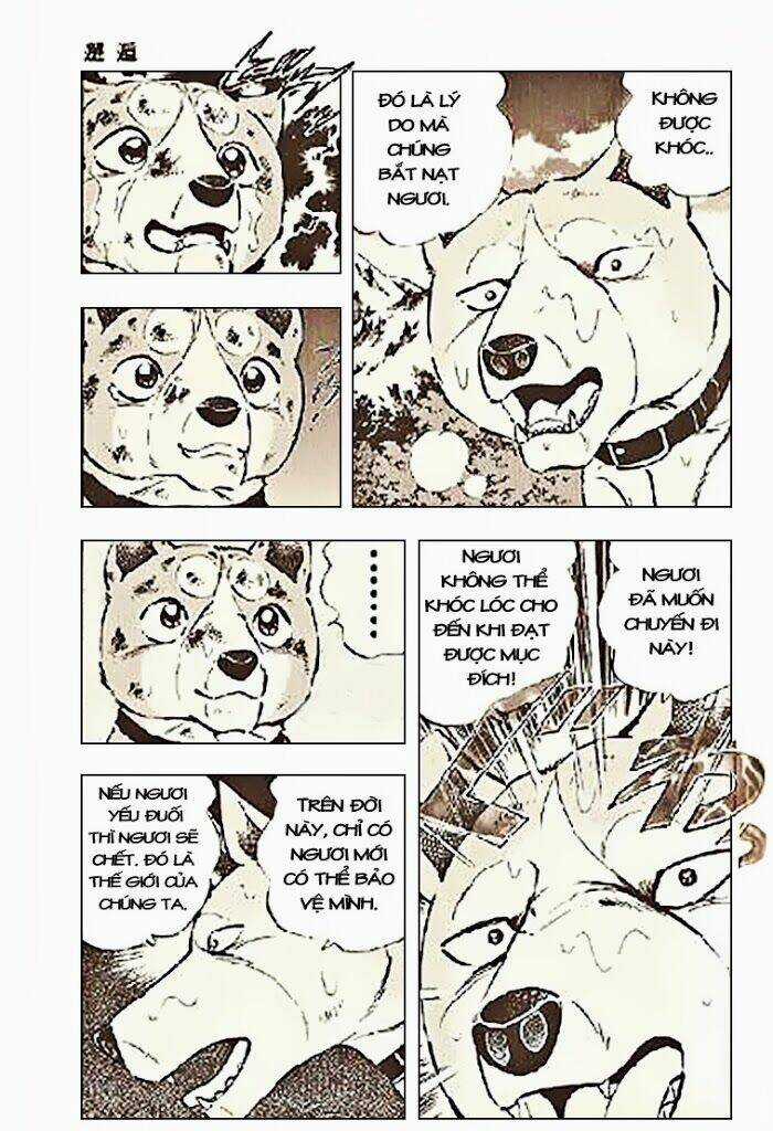 Ginga Densetsu Riki - Chapter 3 - Trang 15