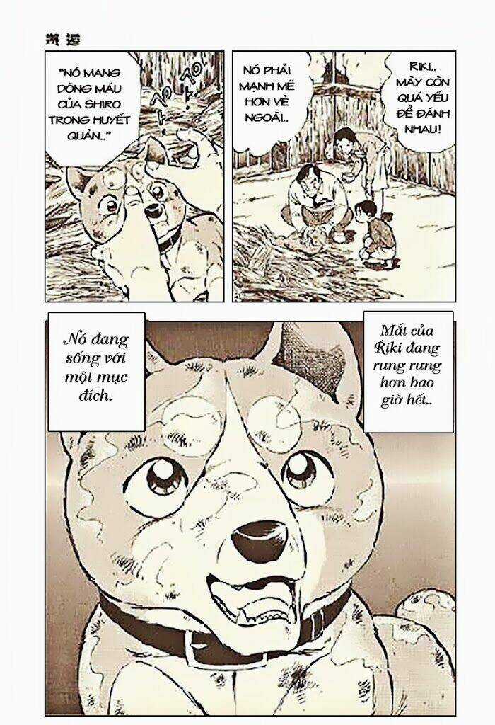 Ginga Densetsu Riki - Chapter 3 - Trang 23