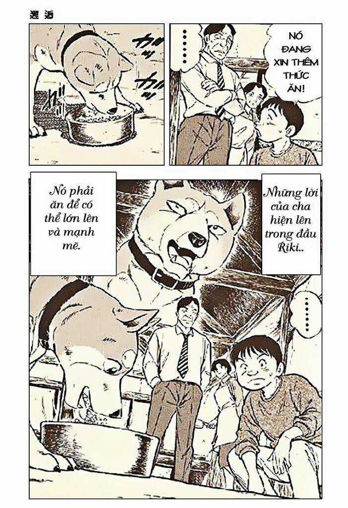 Ginga Densetsu Riki - Chapter 3 - Trang 25