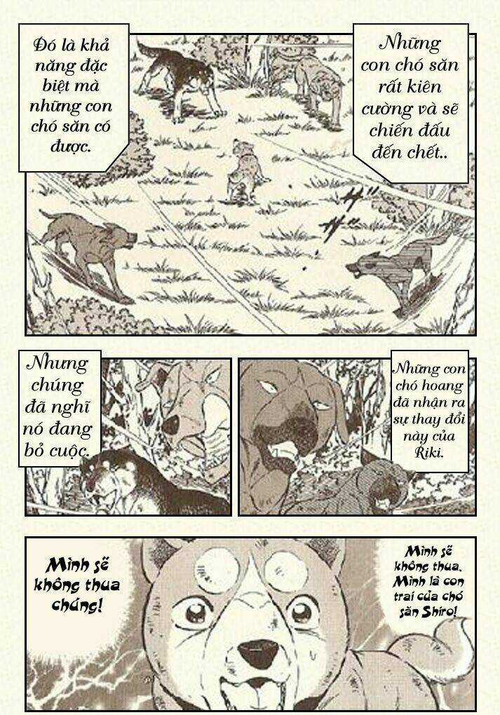 Ginga Densetsu Riki - Chapter 4 - Trang 26