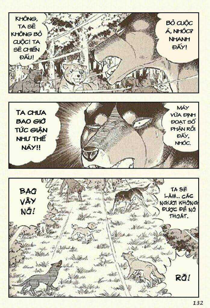 Ginga Densetsu Riki - Chapter 4 - Trang 27