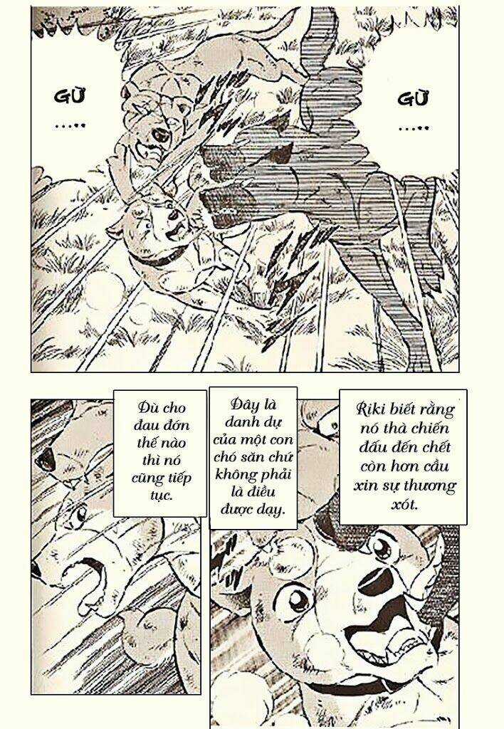 Ginga Densetsu Riki - Chapter 5 - Trang 12