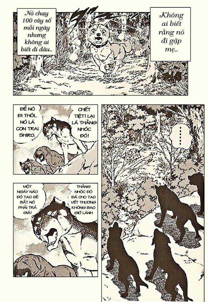 Ginga Densetsu Riki - Chapter 5 - Trang 24