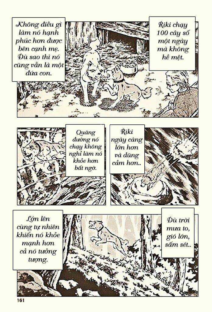 Ginga Densetsu Riki - Chapter 5 - Trang 25