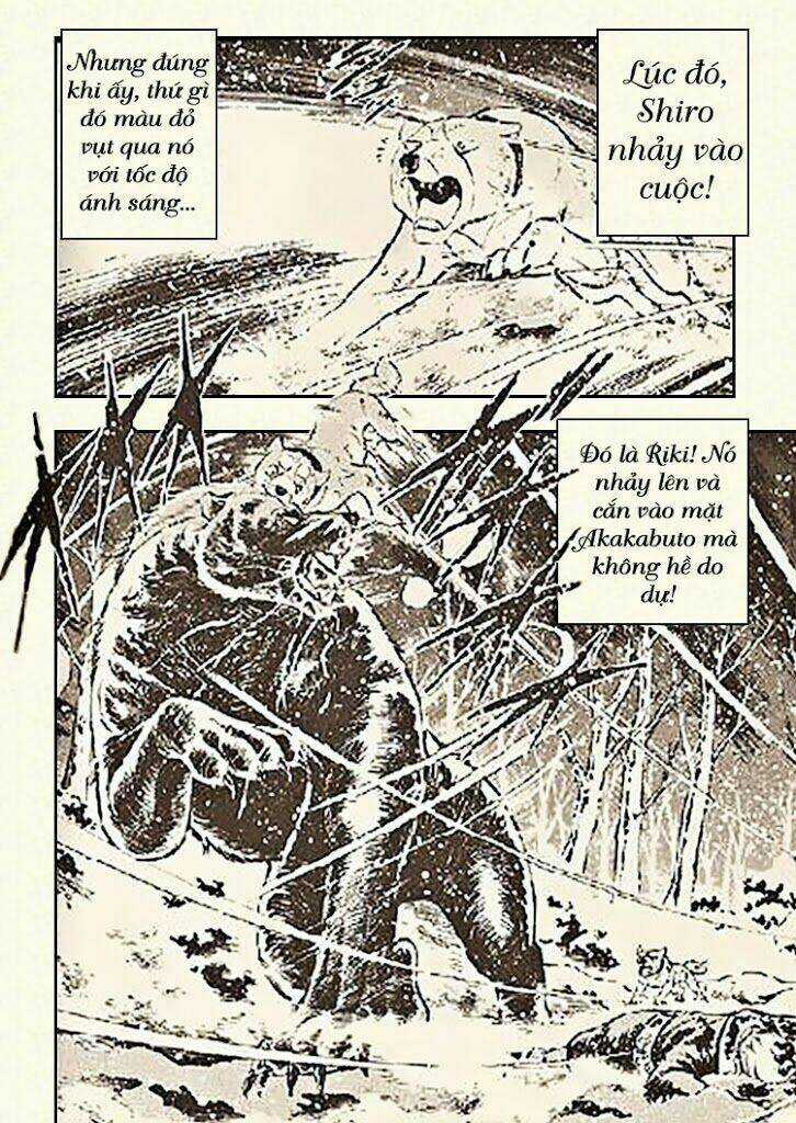 Ginga Densetsu Riki - Chapter 6 - Trang 19