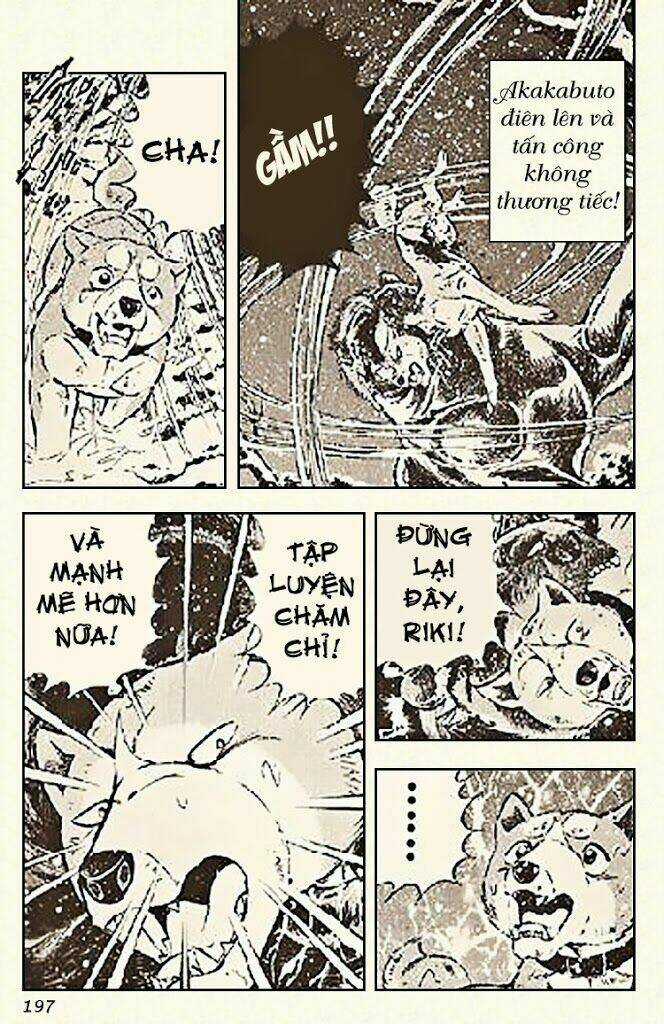 Ginga Densetsu Riki - Chapter 6 - Trang 28