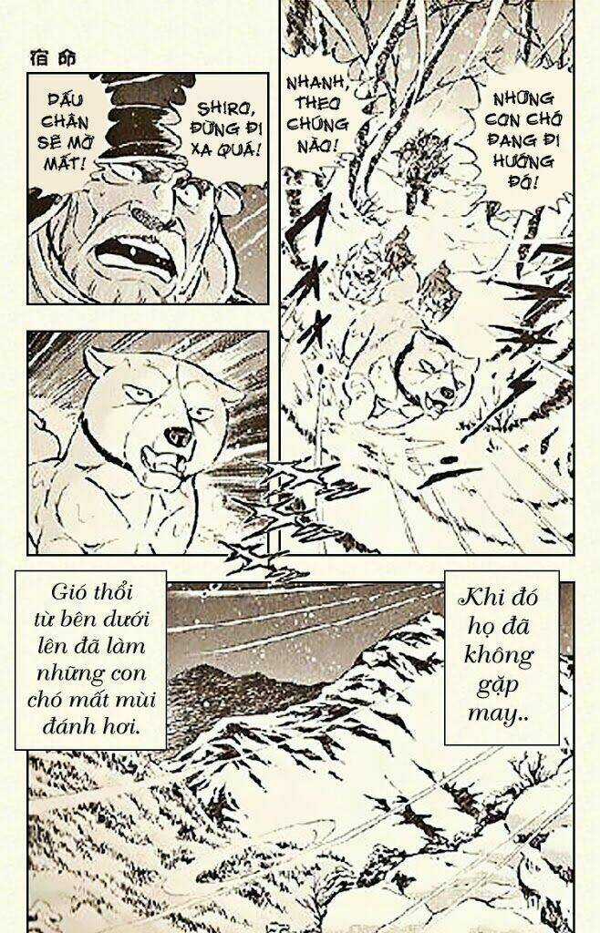 Ginga Densetsu Riki - Chapter 6 - Trang 8