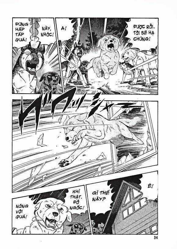 Ginga Densetsu Weed Gaiden - Chapter 1 - Trang 35