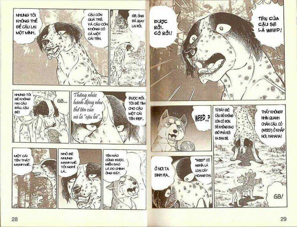 Ginga Densetsu Weed (legend) - Chapter 0 - Trang 14