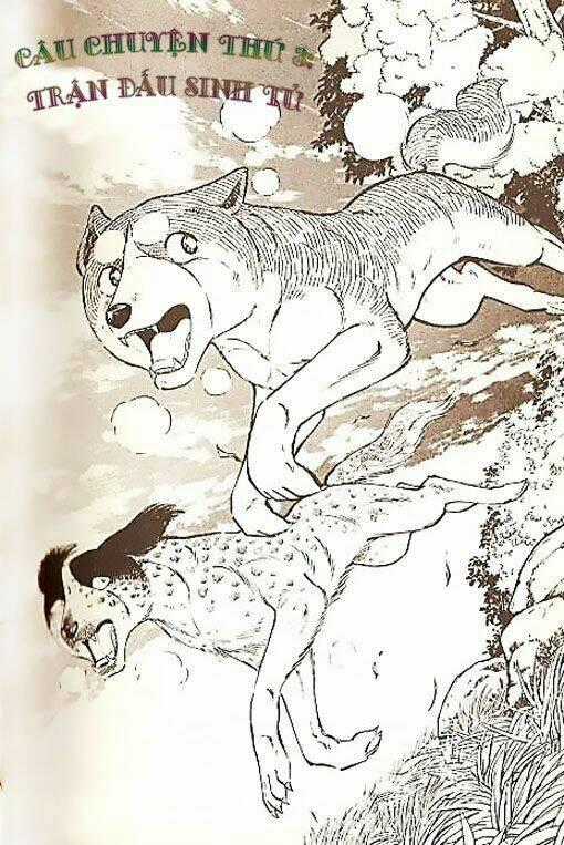 Ginga Densetsu Weed (legend) - Chapter 3 - Trang 1