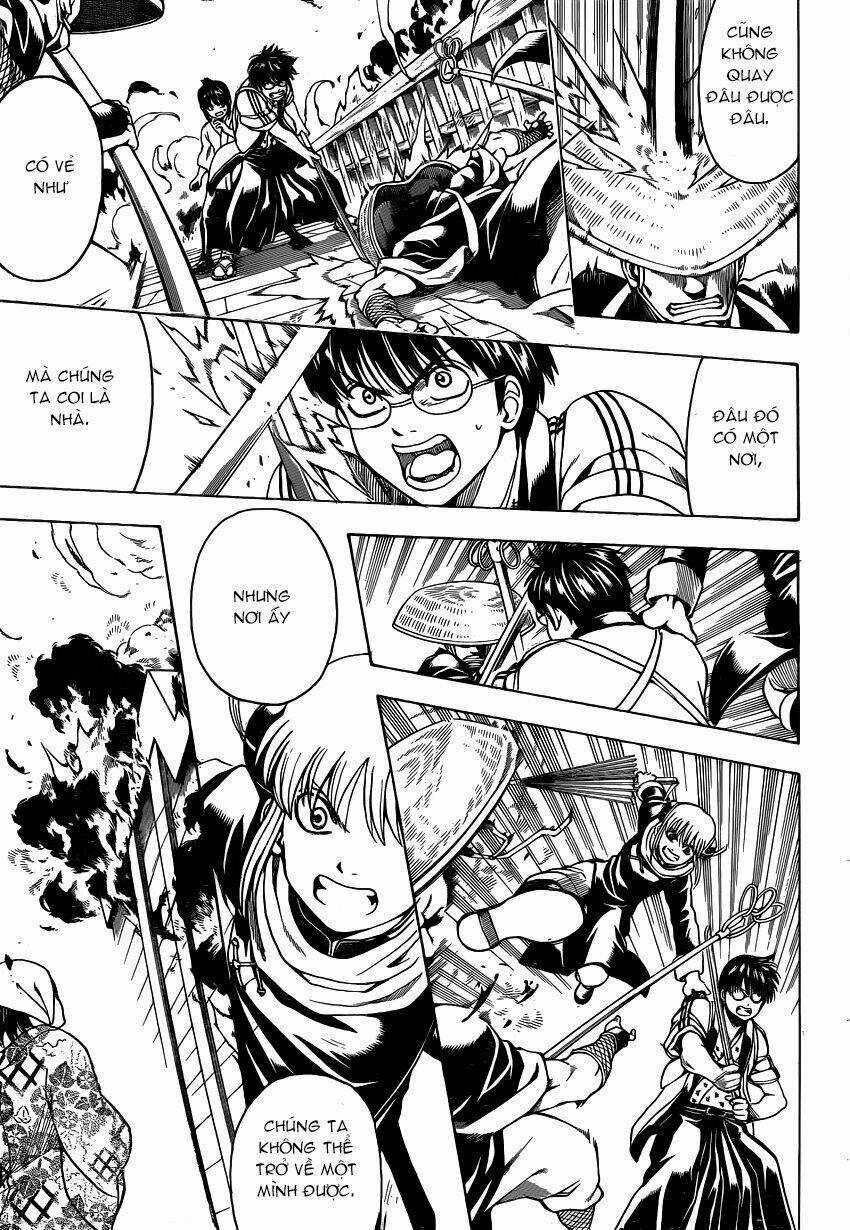 Gintama - Linh Hồn Bạc - Chapter 532 - Trang 5