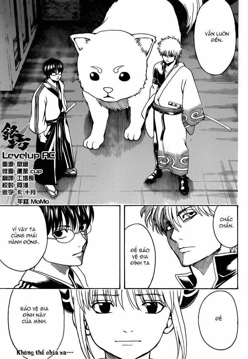 Gintama - Linh Hồn Bạc - Chapter 556 - Trang 17