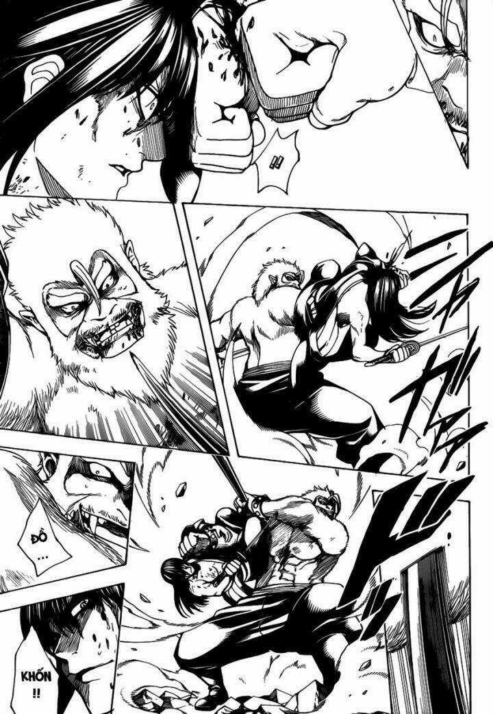 Gintama - Linh Hồn Bạc - Chapter 564 - Trang 6