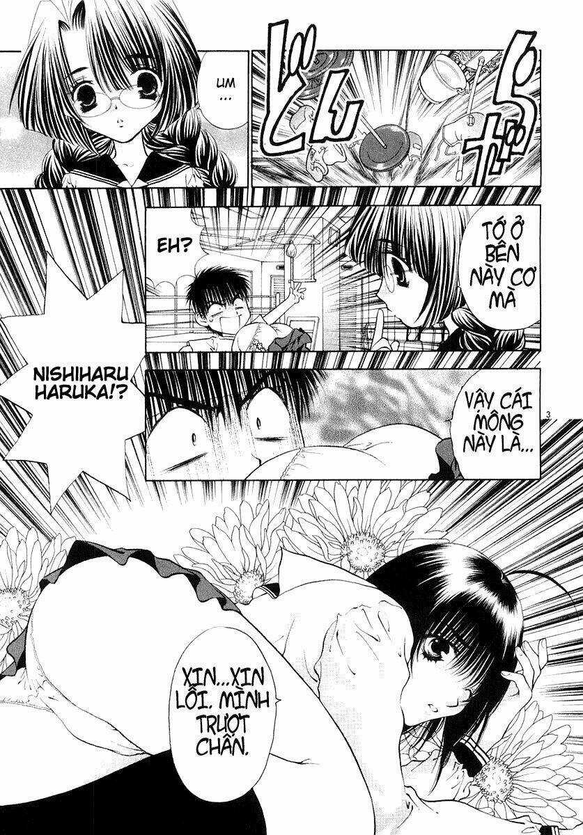 Girls Saurus Dx - Chapter 19 - Trang 8