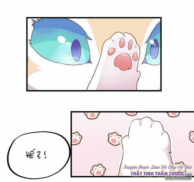 Giữ Chặt Tiểu Bạch Long - Chapter 22 - Trang 13