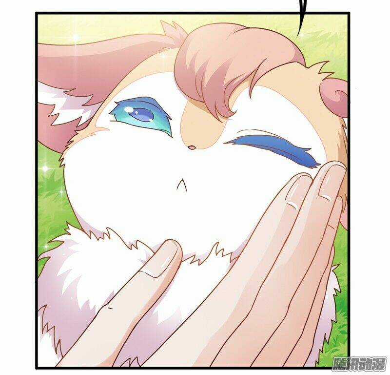 Giữ Chặt Tiểu Bạch Long - Chapter 23 - Trang 13