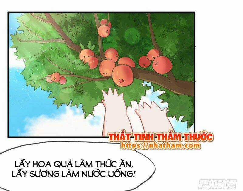 Giữ Chặt Tiểu Bạch Long - Chapter 51 - Trang 17