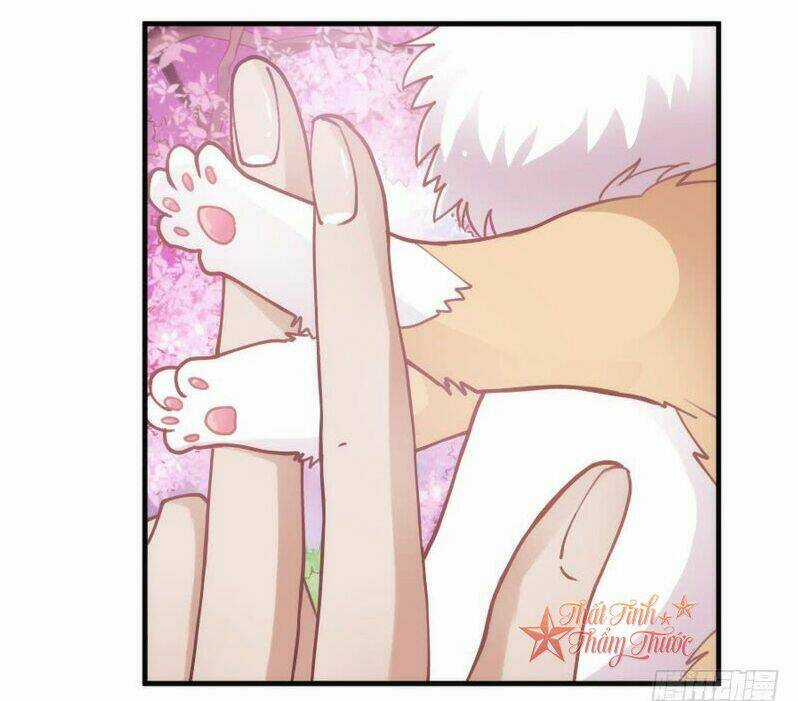 Giữ Chặt Tiểu Bạch Long - Chapter 57 - Trang 19