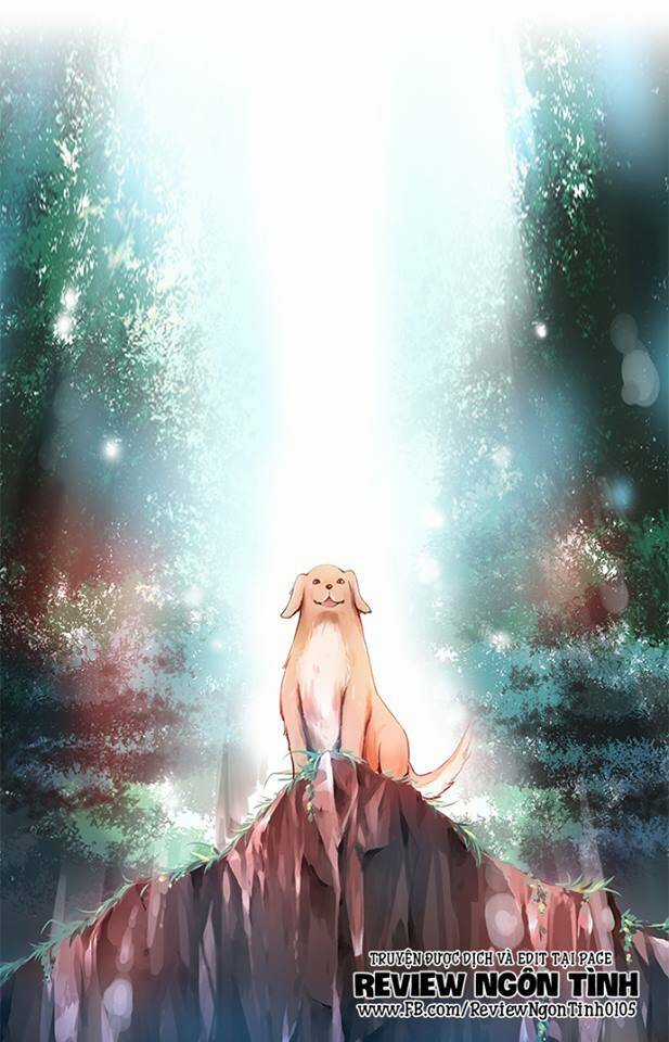 Golden Chance - Chapter 2 - Trang 13