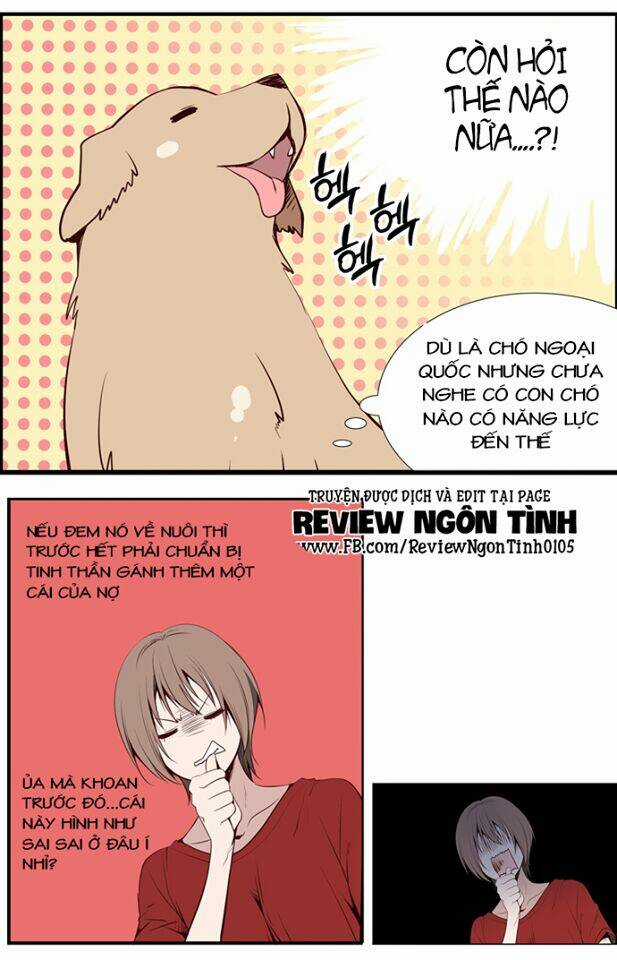 Golden Chance - Chapter 3 - Trang 12