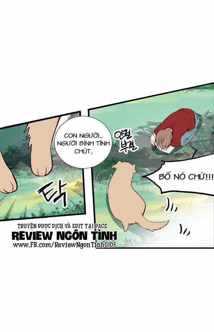 Golden Chance - Chapter 3 - Trang 3