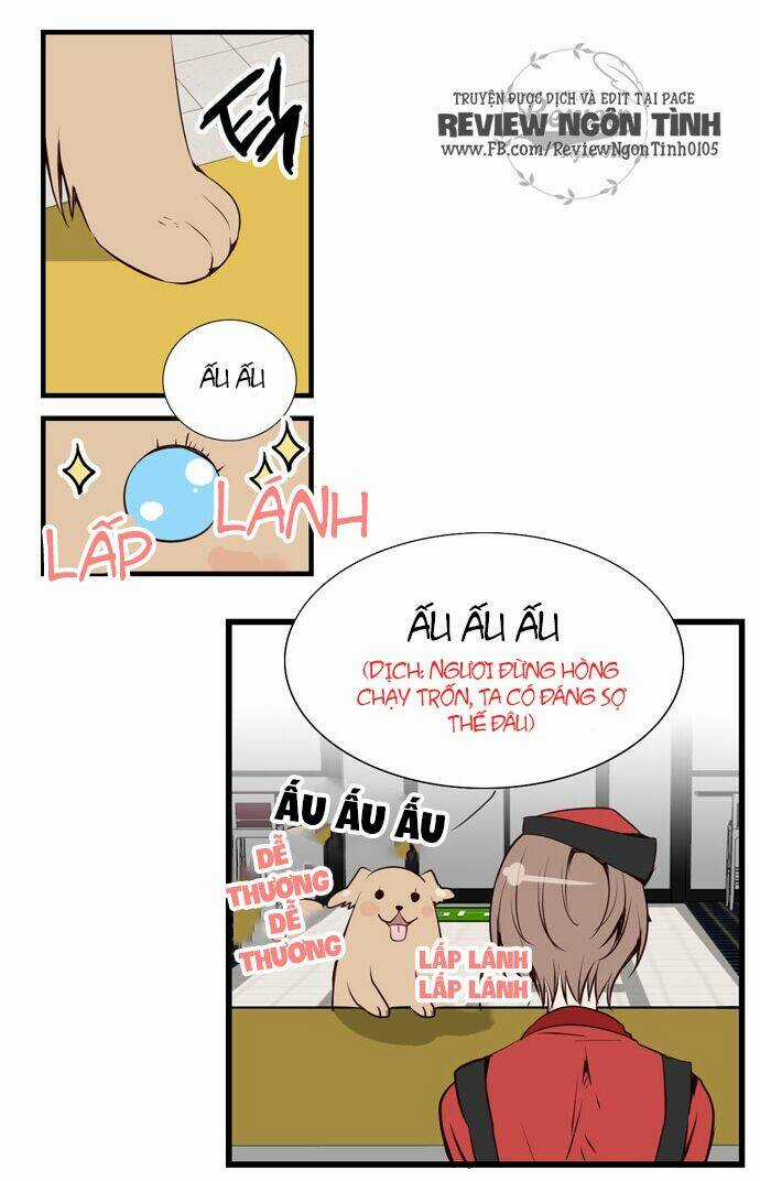 Golden Chance - Chapter 6 - Trang 4