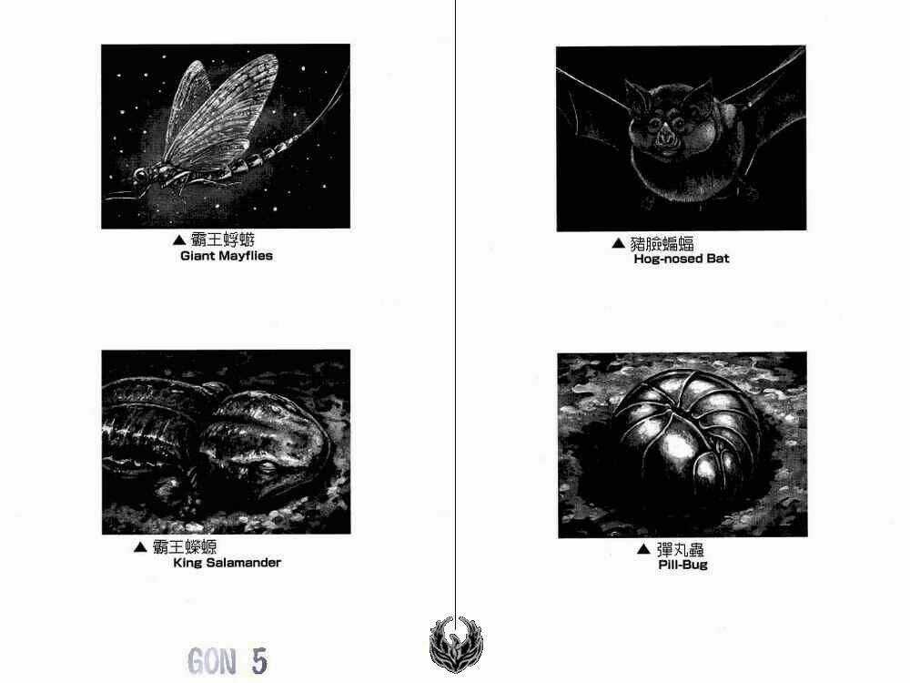 Gon - Chapter 16 - Trang 81