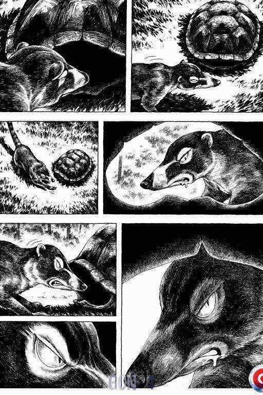 Gon - Chapter 4 - Trang 20