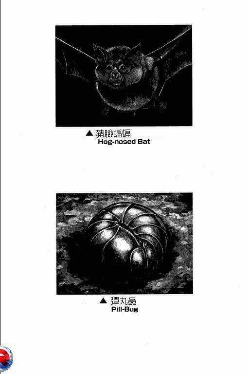 Gon - Chapter 5 - Trang 144