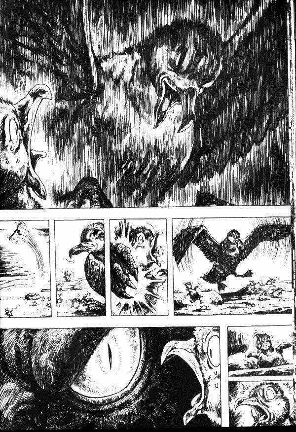 Gon - Chapter 7 - Trang 14