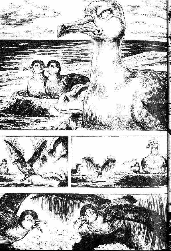 Gon - Chapter 7 - Trang 35