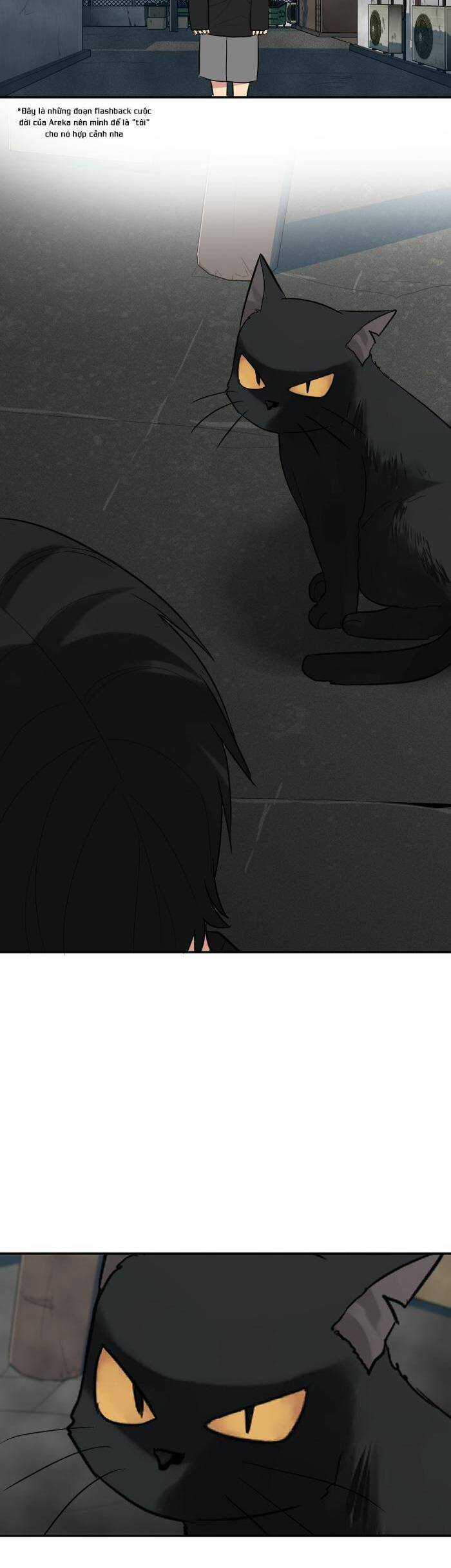 Good/Bad Fortune - Chương 76 - Trang 11