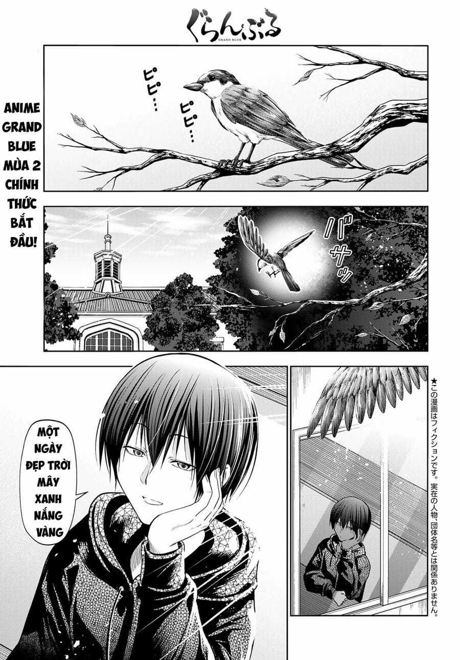 Grand Blue - Chapter 104 - Trang 5