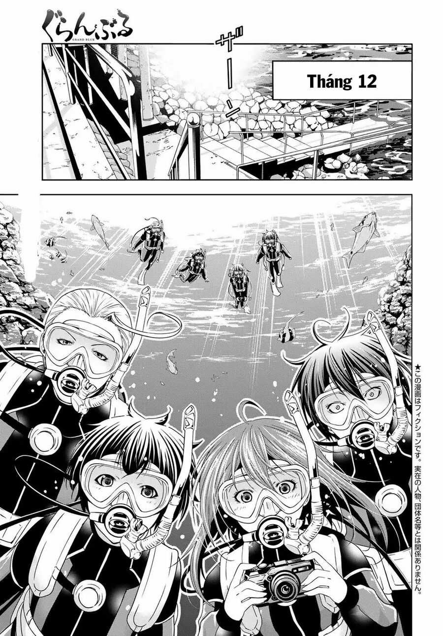 Grand Blue - Chapter 105 - Trang 5