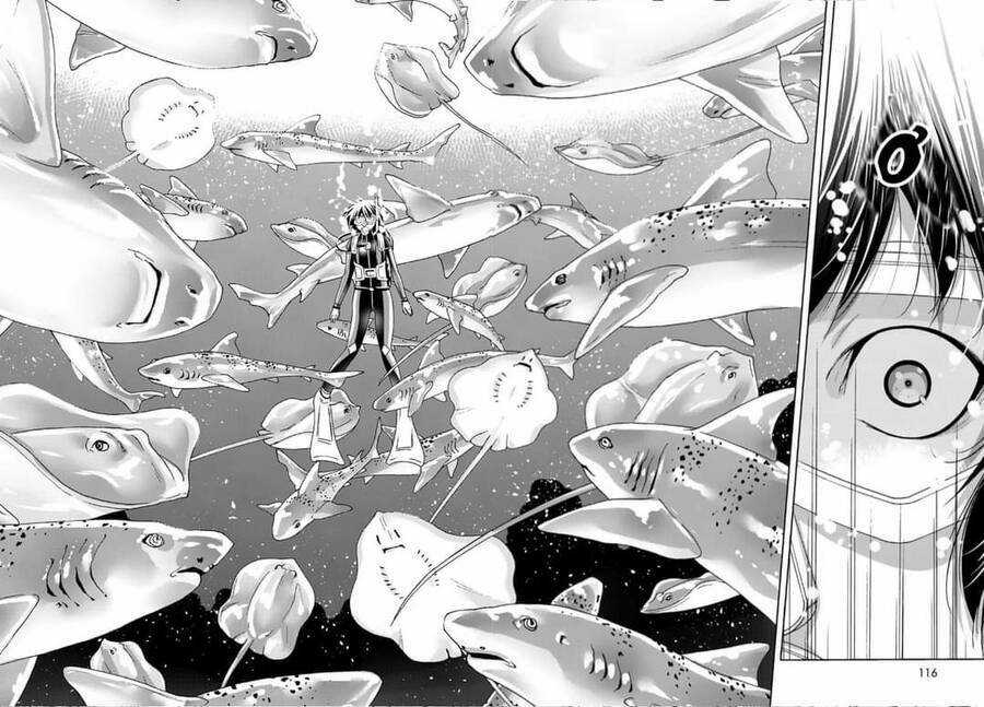 Grand Blue - Chapter 81 - Trang 25