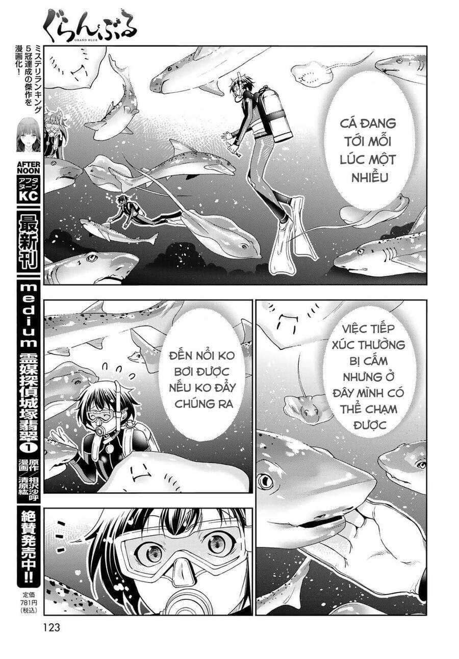 Grand Blue - Chapter 81 - Trang 31