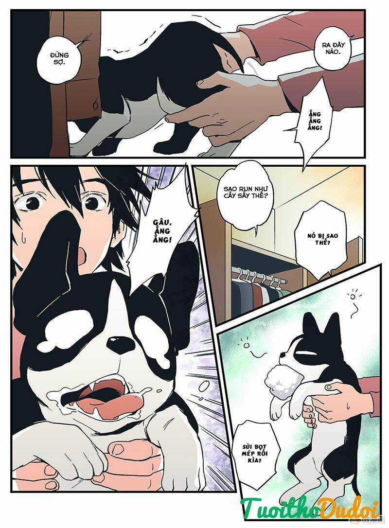 Guarding - Thần Hộ Mệnh - Chapter 26 - Trang 11