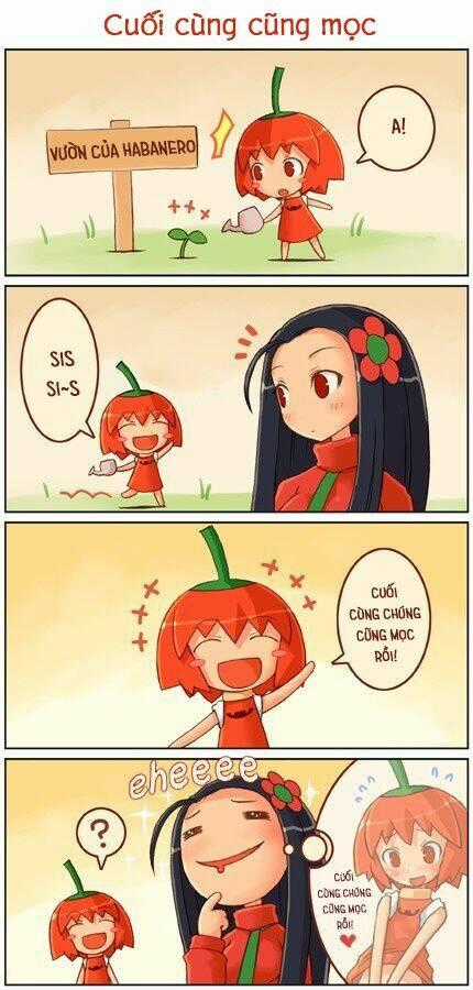 Habanero - Chapter 4 - Trang 1