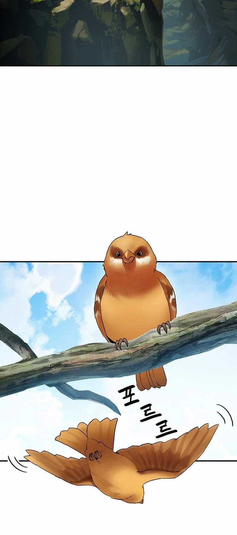 Hắc Bạch Võ Đế - Chapter 31 - Trang 31