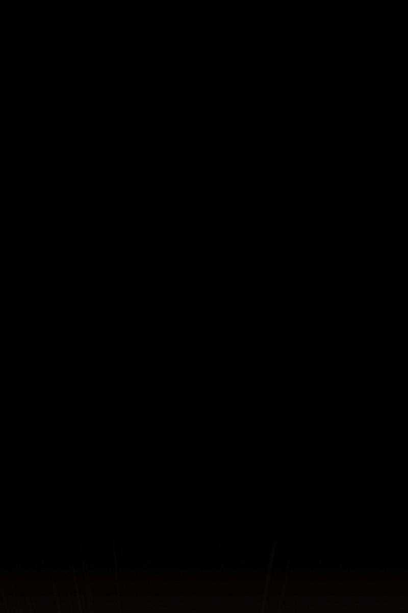 Hắc Bạch Võ Đế - Chapter 9 - Trang 22