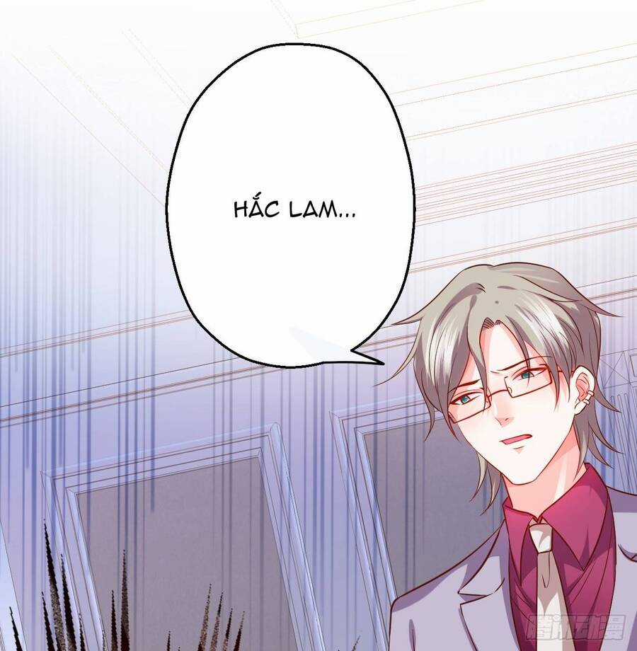 Hắc Đạo Đáng Yêu - Chapter 142 - Trang 8