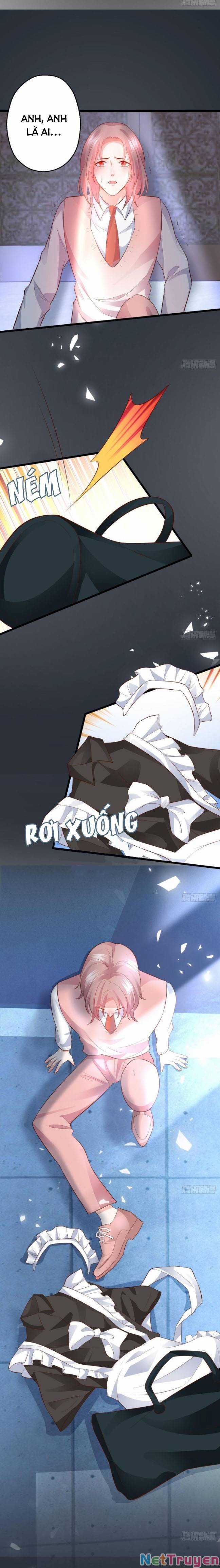 Hắc Đạo Đáng Yêu - Chapter 144 - Trang 8