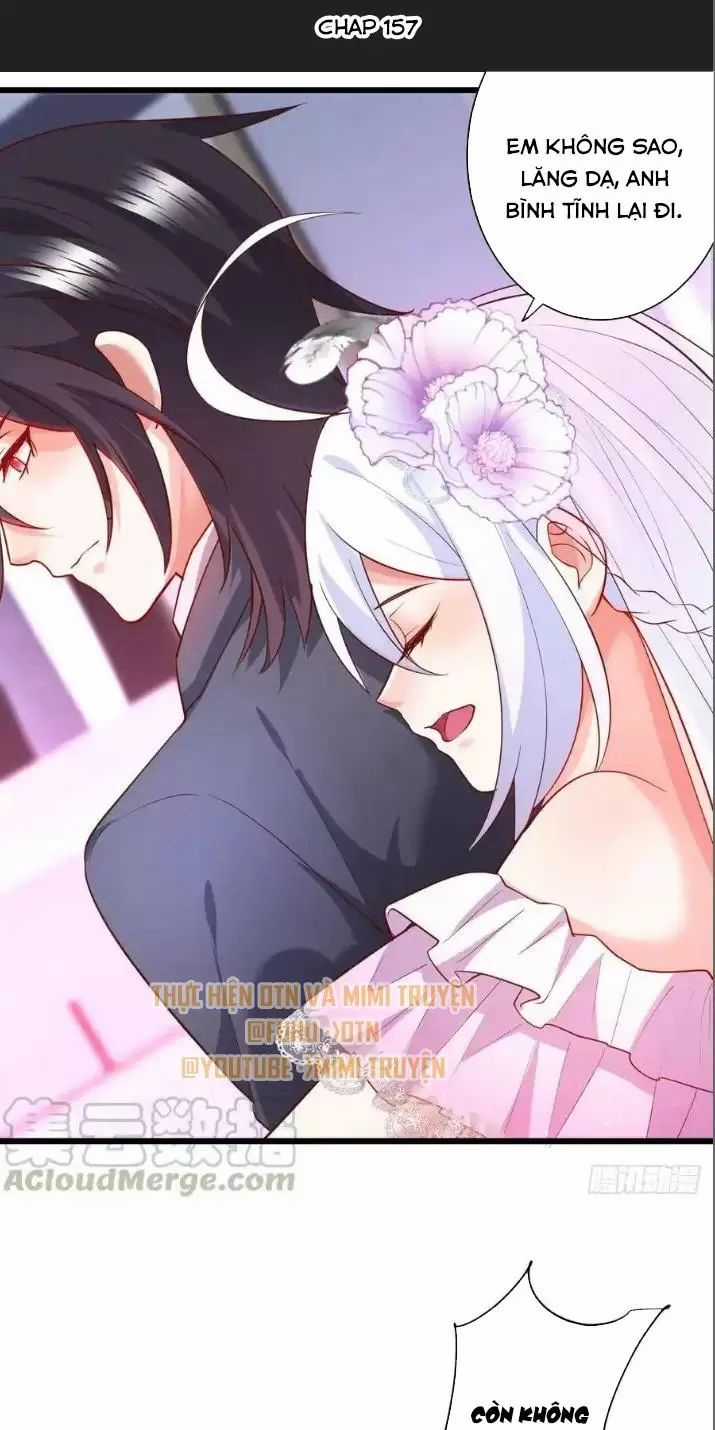 Hắc Đạo Đáng Yêu - Chapter 157 - Trang 2