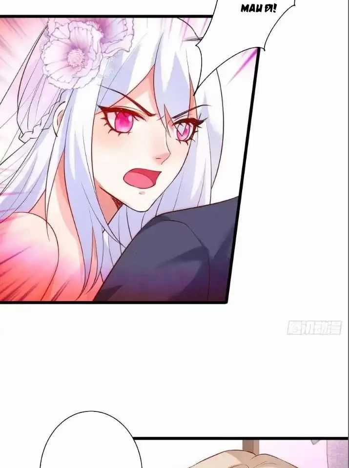 Hắc Đạo Đáng Yêu - Chapter 157 - Trang 3