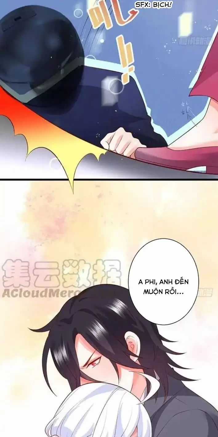 Hắc Đạo Đáng Yêu - Chapter 161 - Trang 14
