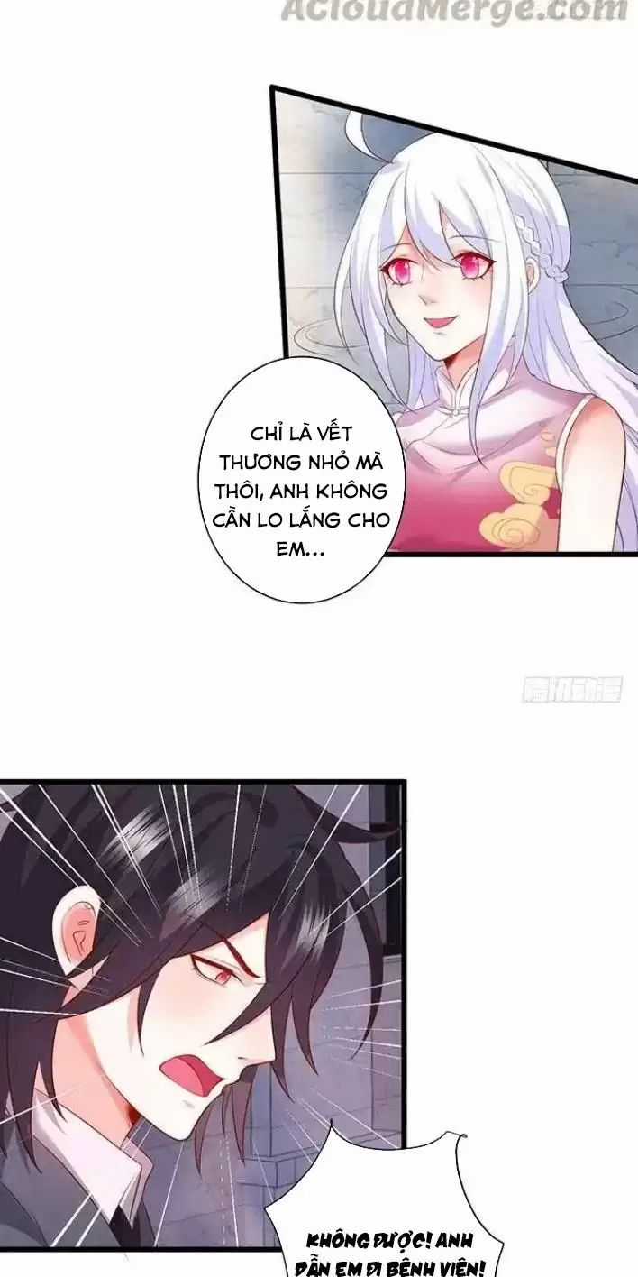 Hắc Đạo Đáng Yêu - Chapter 161 - Trang 20