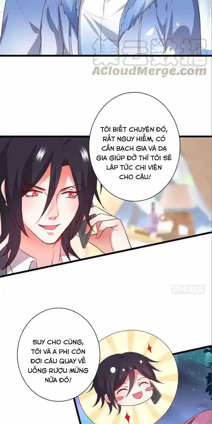 Hắc Đạo Đáng Yêu - Chapter 162 - Trang 5