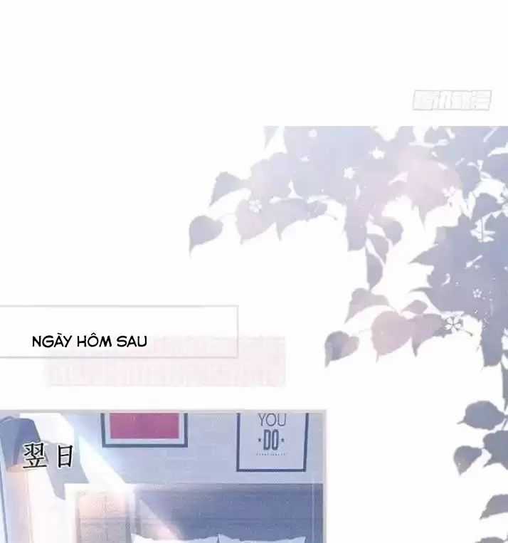 Hắc Đạo Đáng Yêu - Chapter 164 - Trang 34