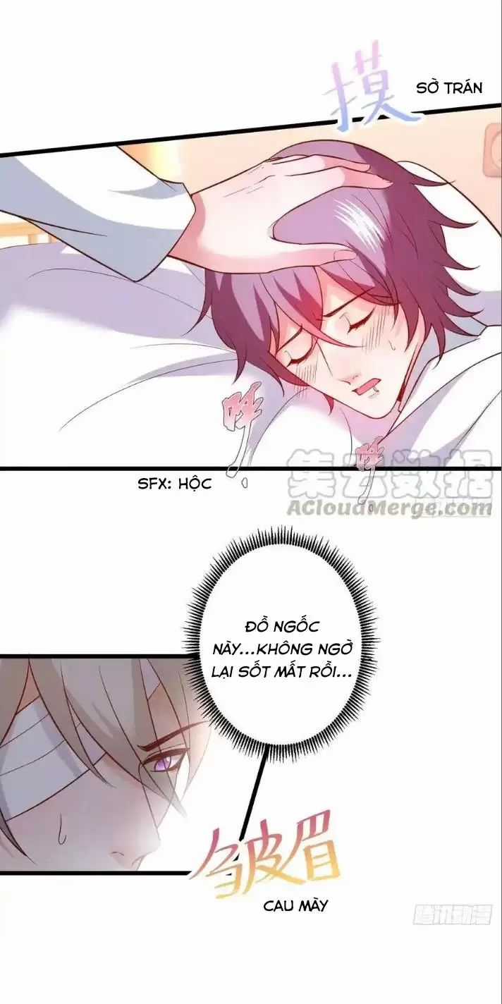 Hắc Đạo Đáng Yêu - Chapter 165 - Trang 17